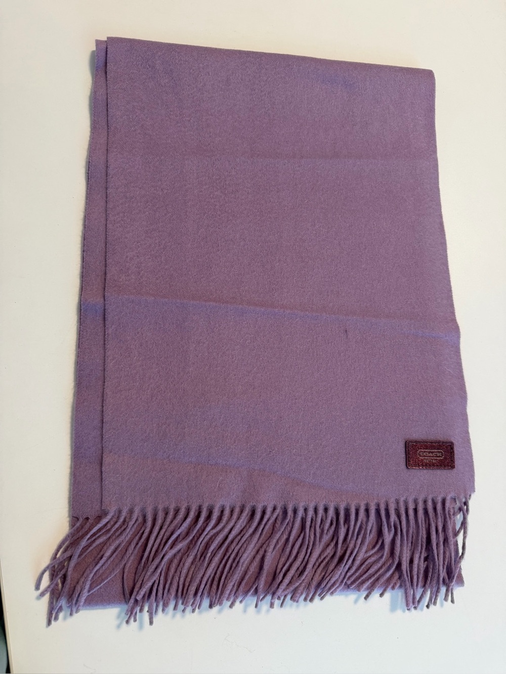 Coach Lilac Cashmere Fringe Scarf